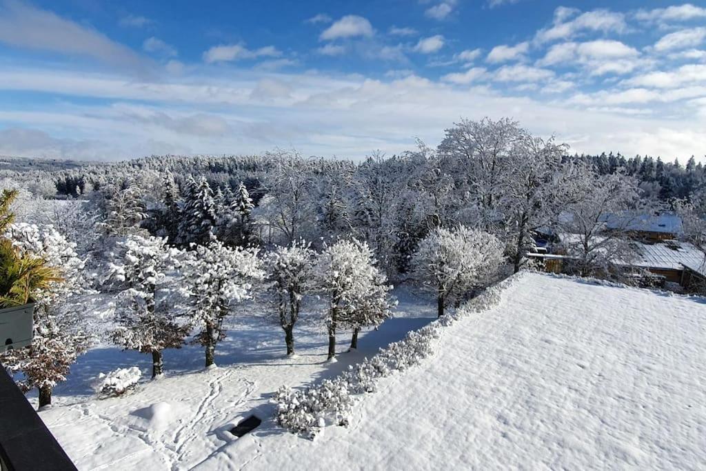 Black Forest Bergliebe Pool Terrasse Natur Ruhe Komfort Hoechenschwand Exterior photo