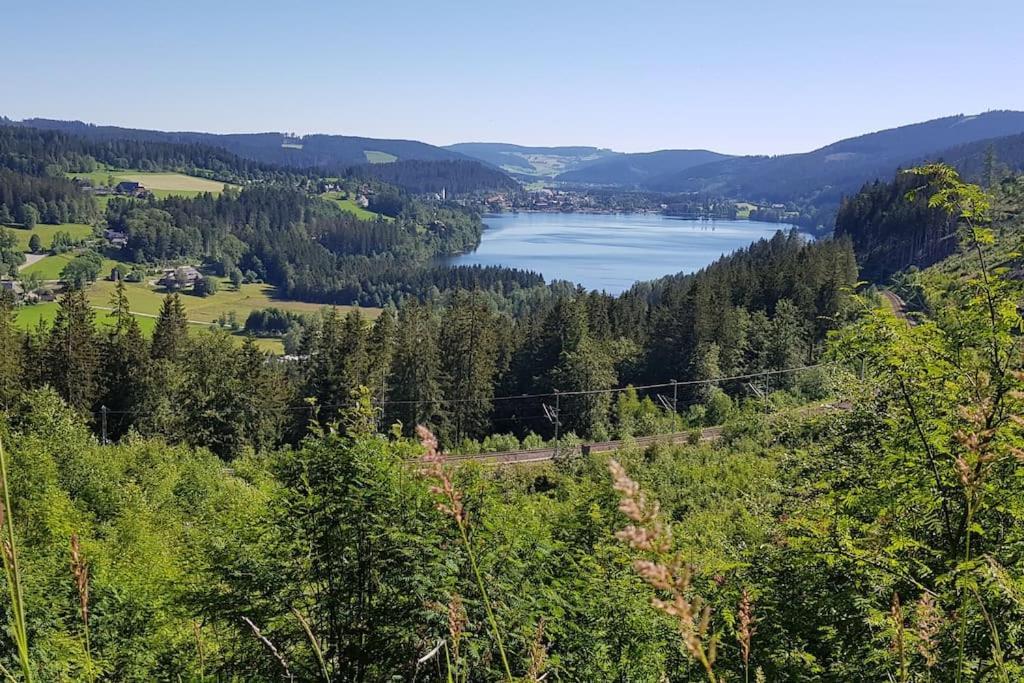 Black Forest Bergliebe Pool Terrasse Natur Ruhe Komfort Hoechenschwand Exterior photo